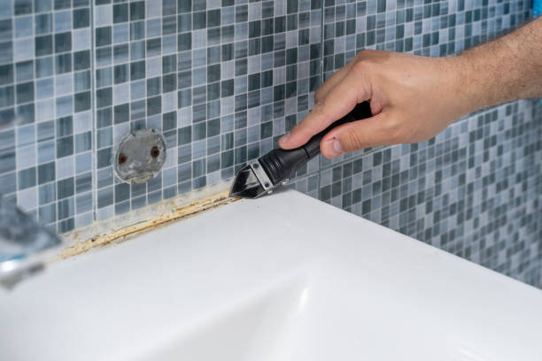 Best Attic Mold Removal  in Rossville, IN