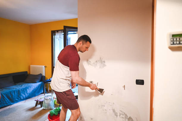 Rossville, IN Mold Removal Company
